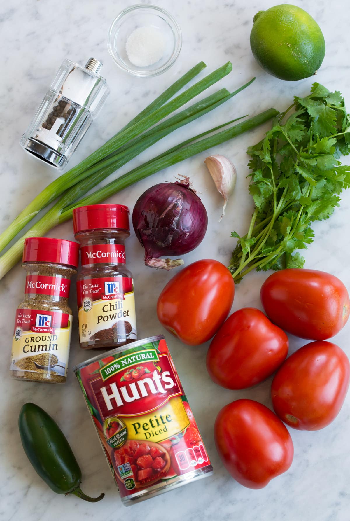 Best Easy Homemade Salsa Ingredients needed to make salsa shown here on a marble countertop. Ingredients include roma tomatoes, canned tomatoes, cilantro, jalapeno, cumin, chili powder, red onion, green onion, garlic, lime, salt, pepper and sugar.