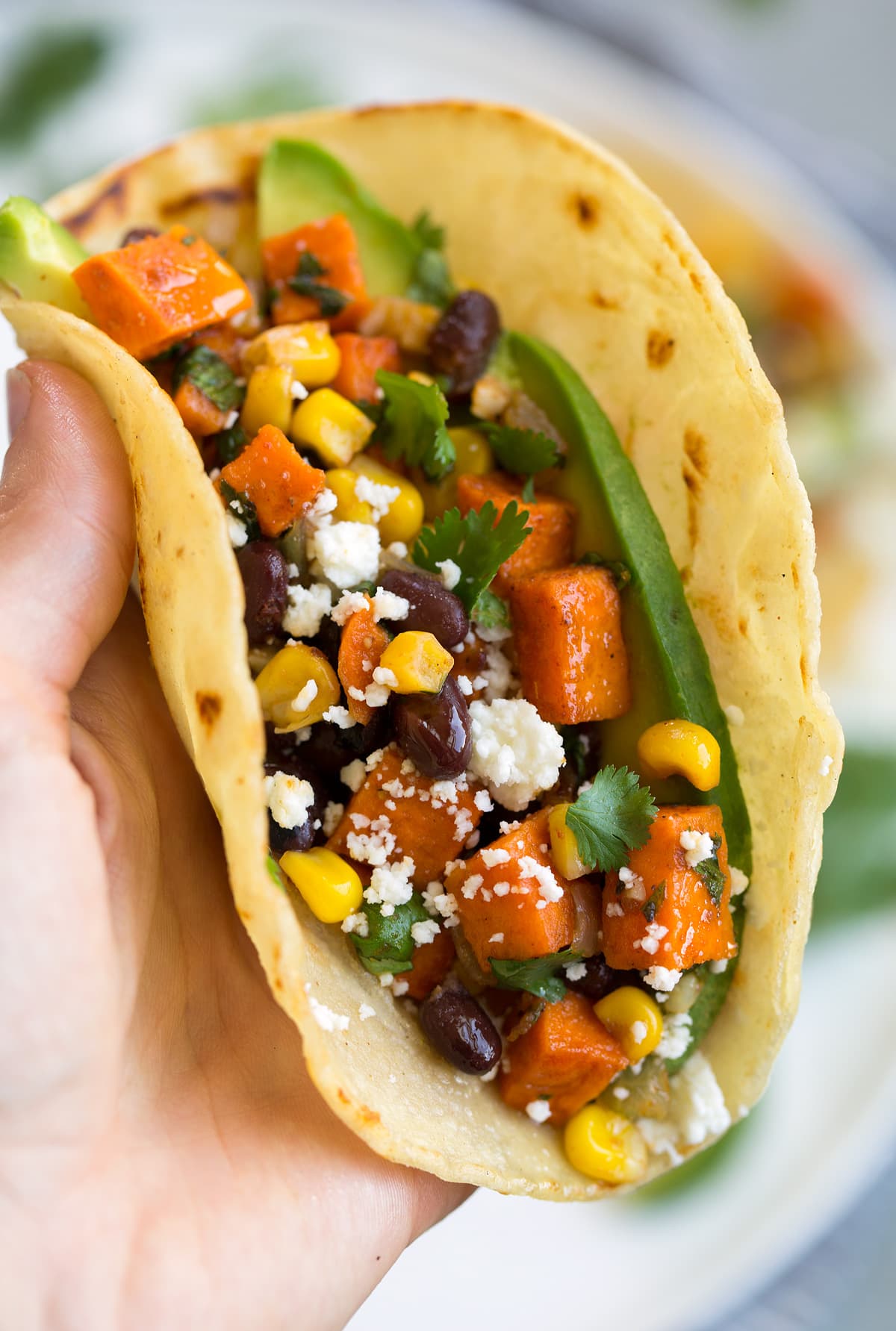 Sweet Potato and Black Bean Tacos Close up image of vegetarian filled sweet potato, black bean and avocado taco.