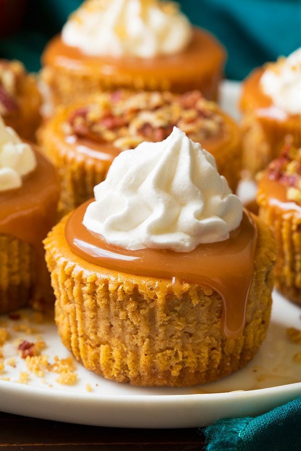 Mini Pumpkin Cheesecakes Close up image of pumpkin cheesecake mini. Topped with caramel sauce and whipped cream.
