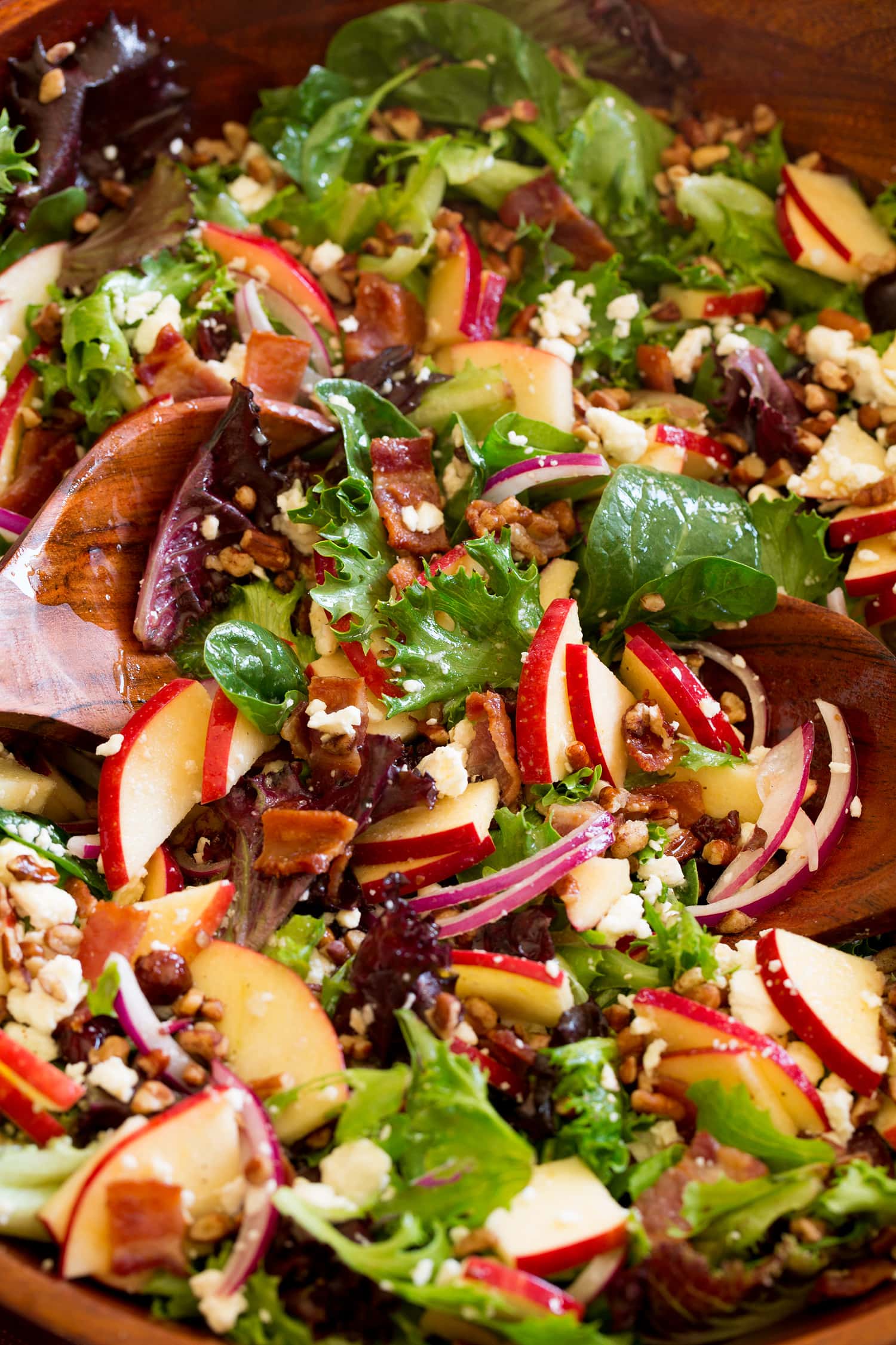 Apple Salad Close up image of apple salad with spring lettuce and spinach, pecans, red onion, dried cranberries, feta and cider vinaigrette.
