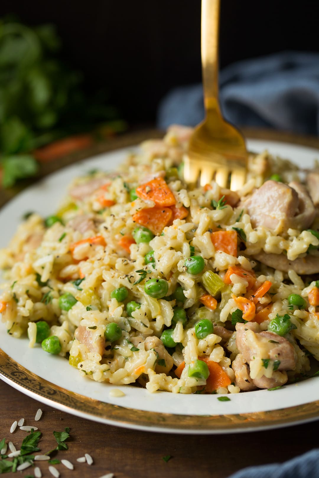 Chicken and Rice on plate with gold fork