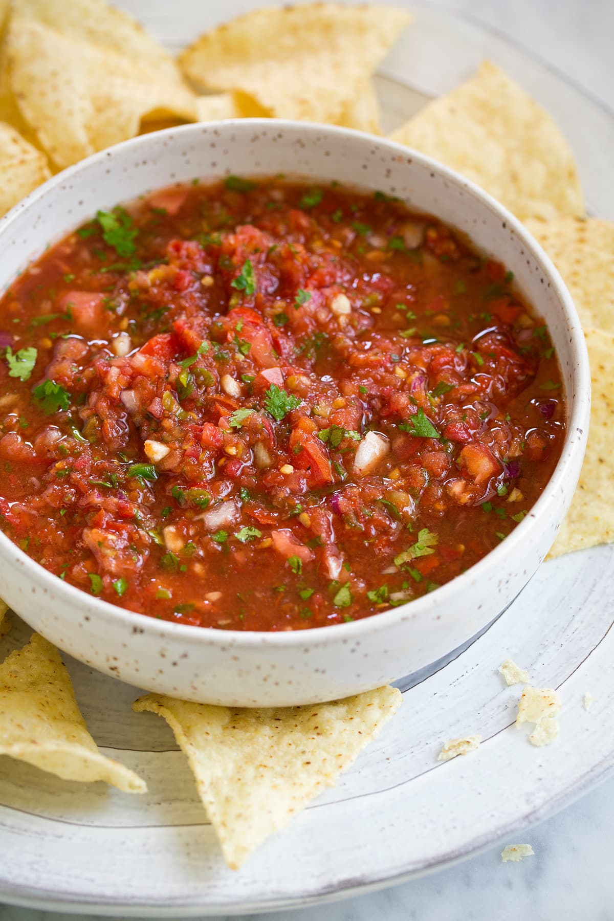 Best Homemade Salsa Recipe Fresh Homemade Salsa in a bowl next to tortilla chips