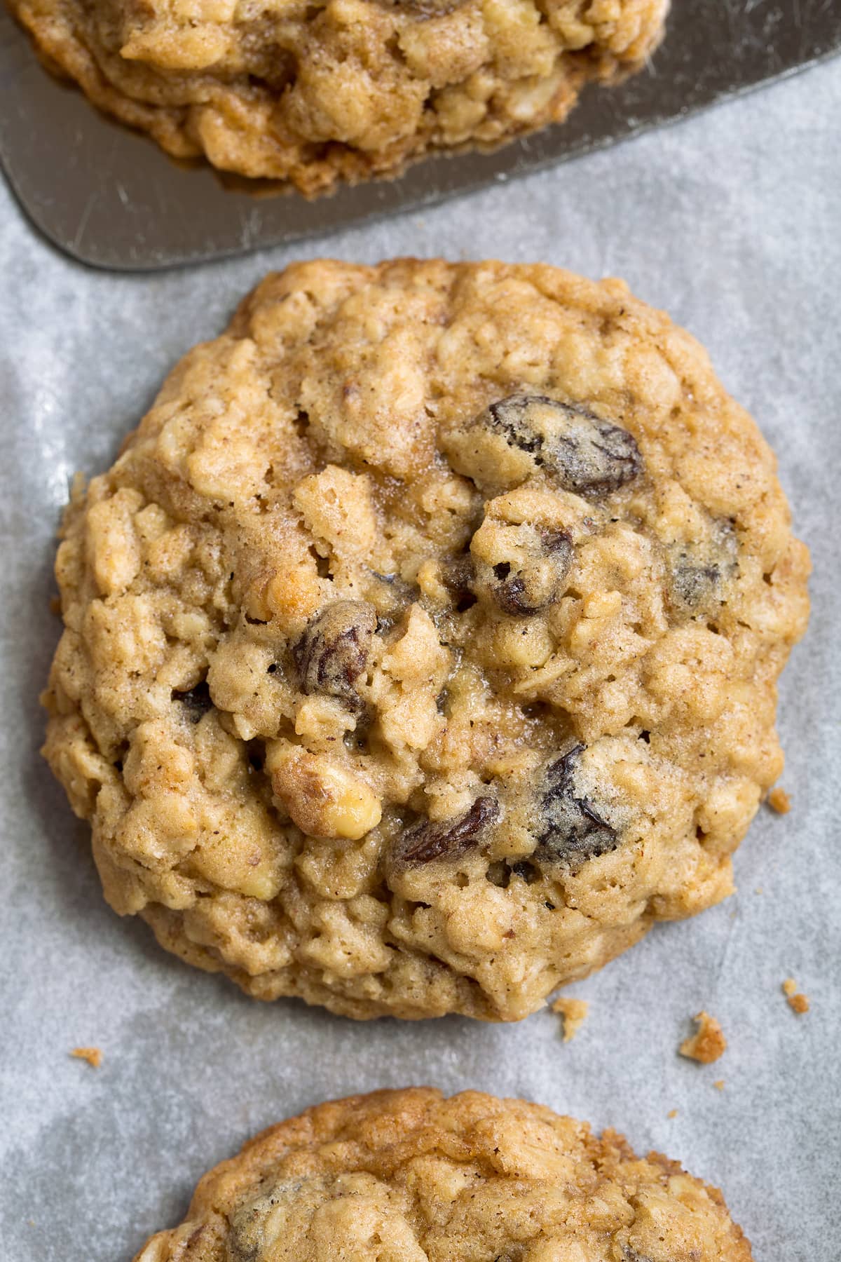 BEST Oatmeal Cookies! Close up image of one oatmeal raisin cookie sitting on parchment paper. Shows texture and moisture of cookie.