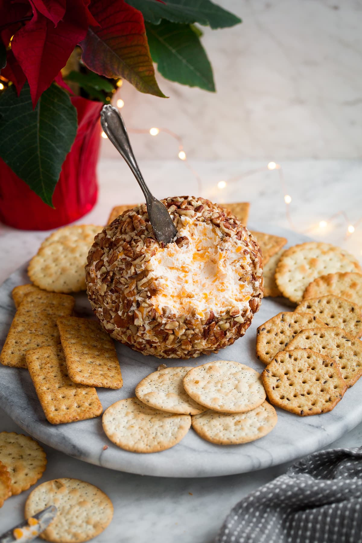 Cheese Ball Recipe Cheese ball on a serving platter with crackers around it.