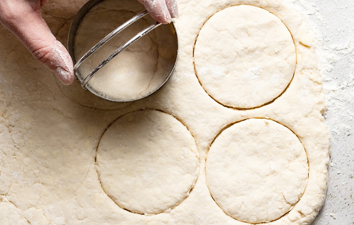 Homemade Buttermilk Biscuits Cutting biscuit dough into rounds using a biscuit cutter.