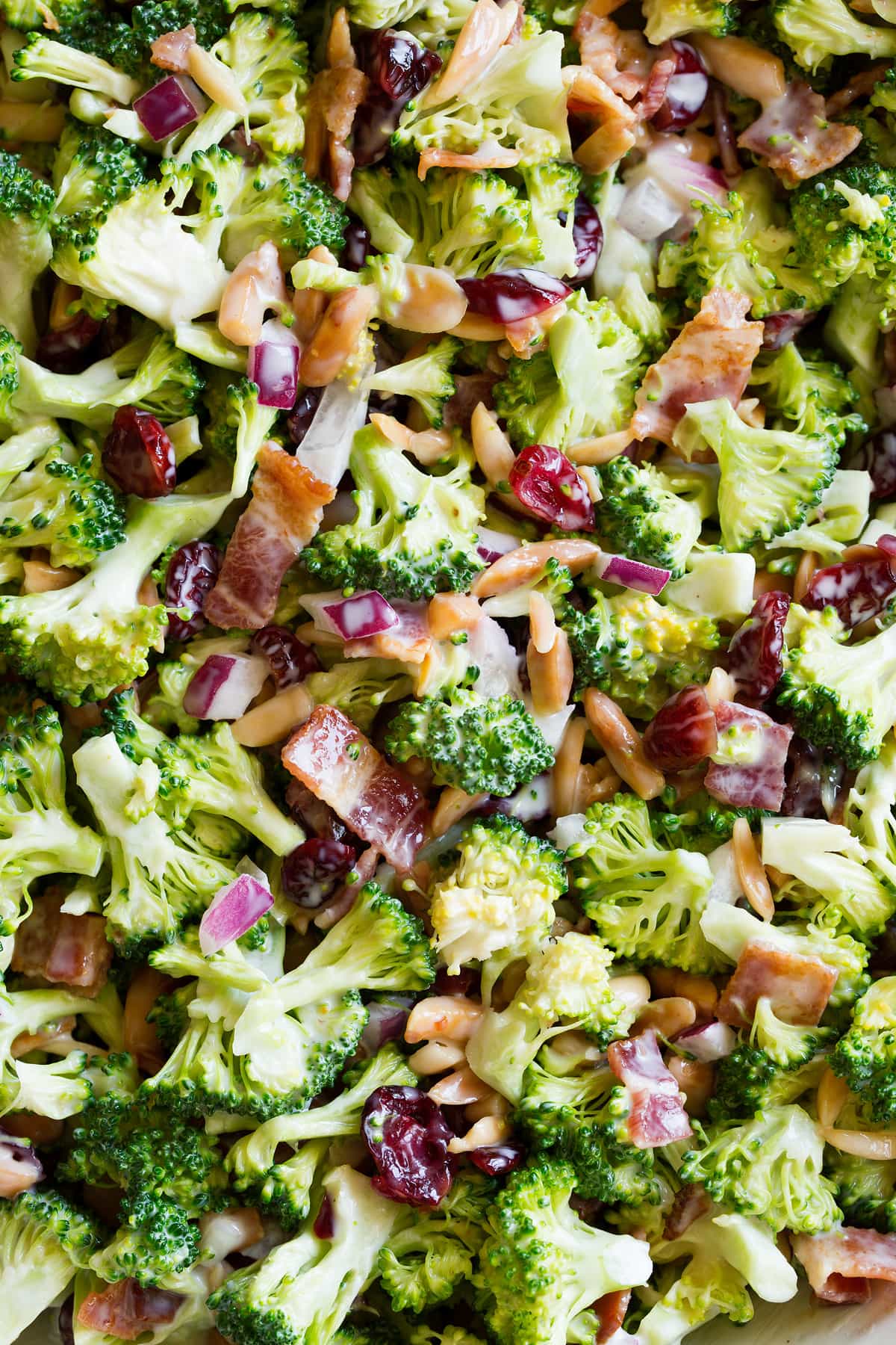 Perfect Broccoli Salad! A classic must have recipe! Made with crisp pieces of tiny broccoli florets, salty bacon, sweet dried cranberries, bright red onion, nutty toasted almonds and a creamy rich dressing. #broccoli #salad #summer #sidedish #recipe Broccoli salad close up showing ingredients