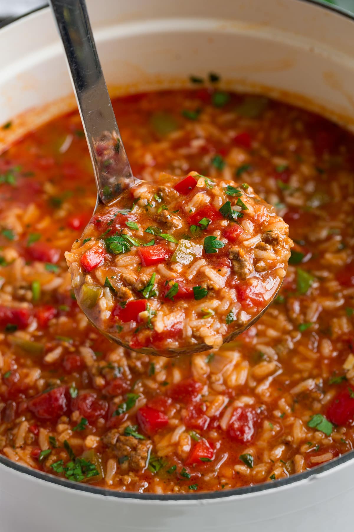Stuffed Pepper Soup Ladle full of Stuffed Pepper Soup.