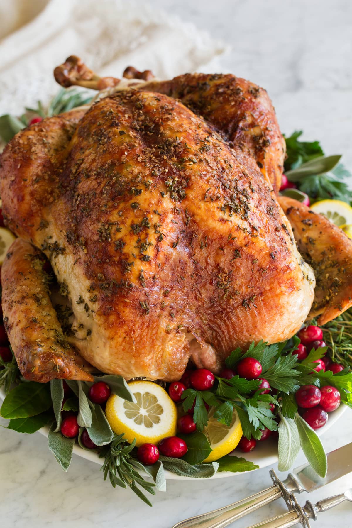 Roast Turkey - easy to follow recipe that turns out tender, juicy and full of flavor! A holiday staple! #turkey #thanksigiving Close up image of a roasted turkey.