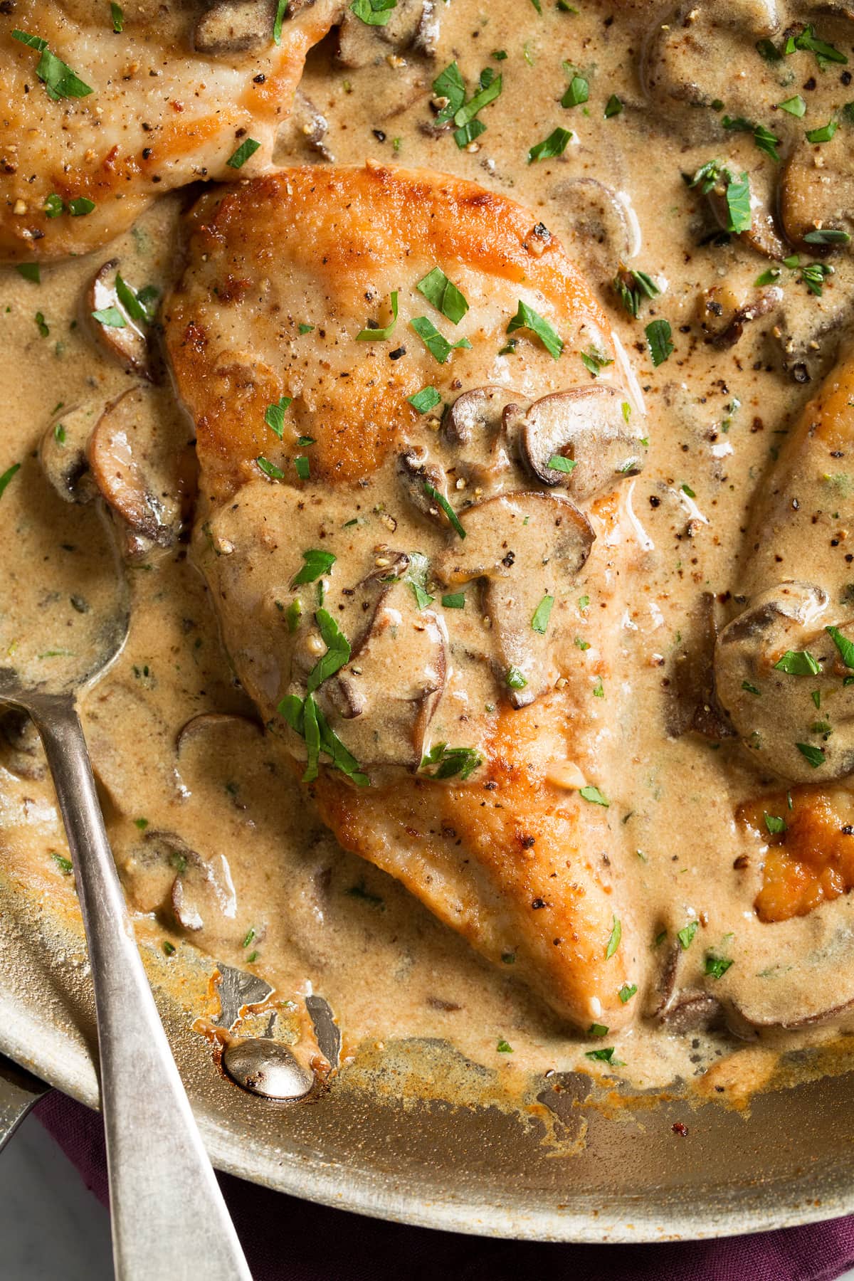 Creamy Chicken Marsala Close up image of single breast of Chicken Marsala