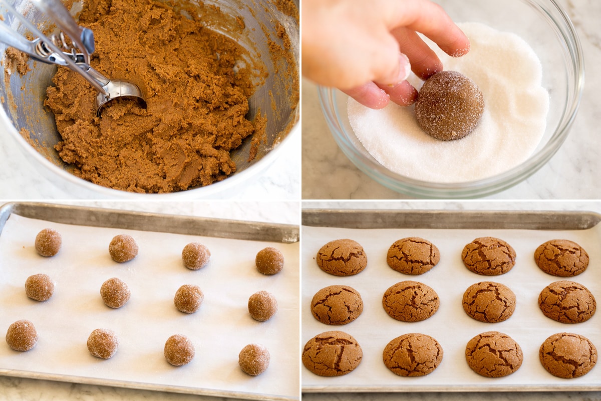 Molasses Cookies Collage of four images showing steps to shaping molasses cookies and rolling in sugar. Then shows molasses cookies on a baking sheet before and after baking.