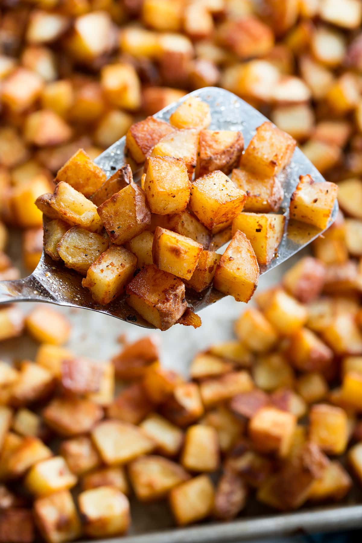 Breakfast Potatoes Photo: Close up of breakfast potatoes on a metal spatula.