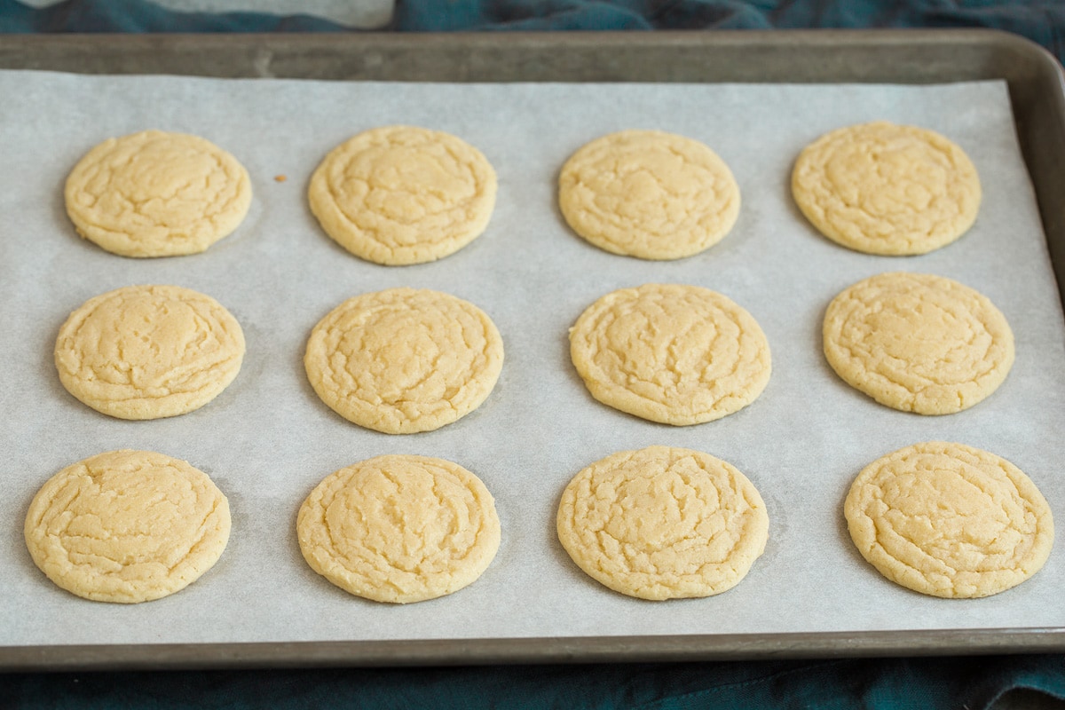 Sugar Cookies Sugar cookies on baking sheet after baking.