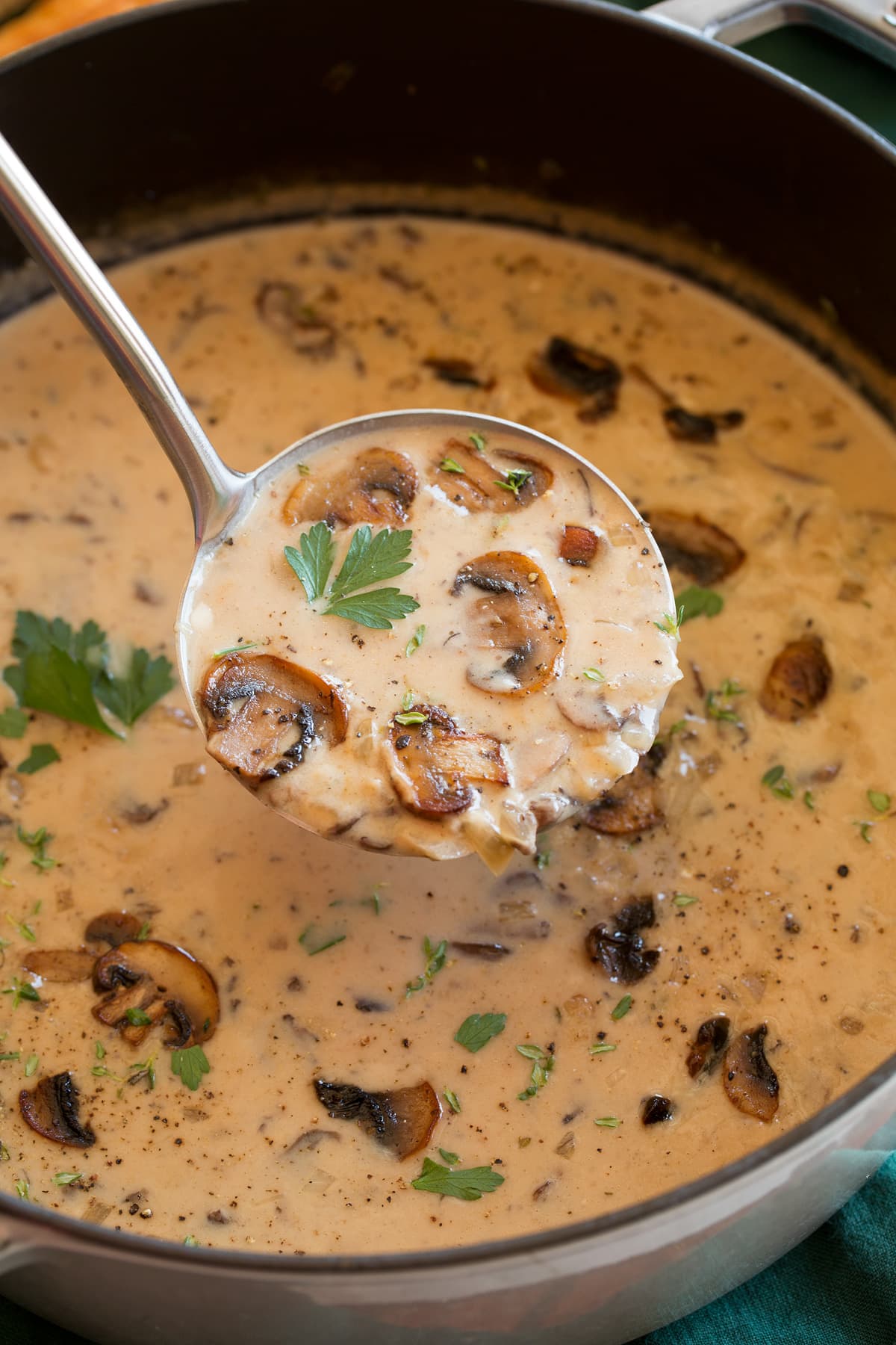 Cream of Mushroom Soup Close up photo of cream of mushroom soup in a ladle.