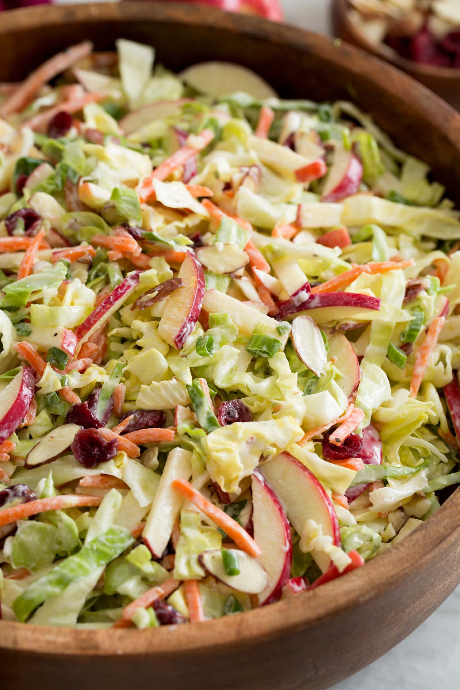 Apple Slaw Close up apple slaw photo.