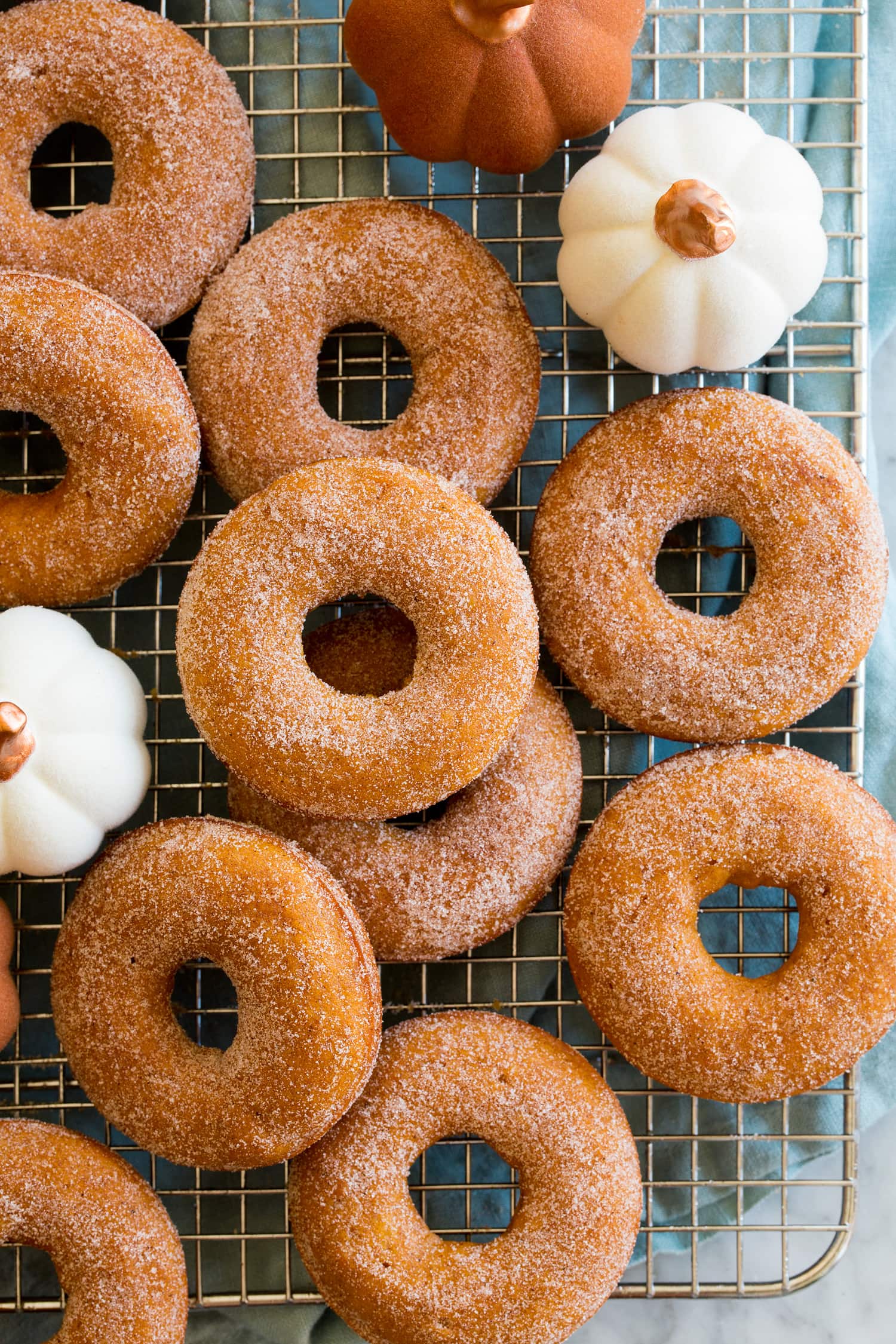 Pumpkin Donuts Overheat close up photo of homemade pumpkin donuts on a cooling rack.