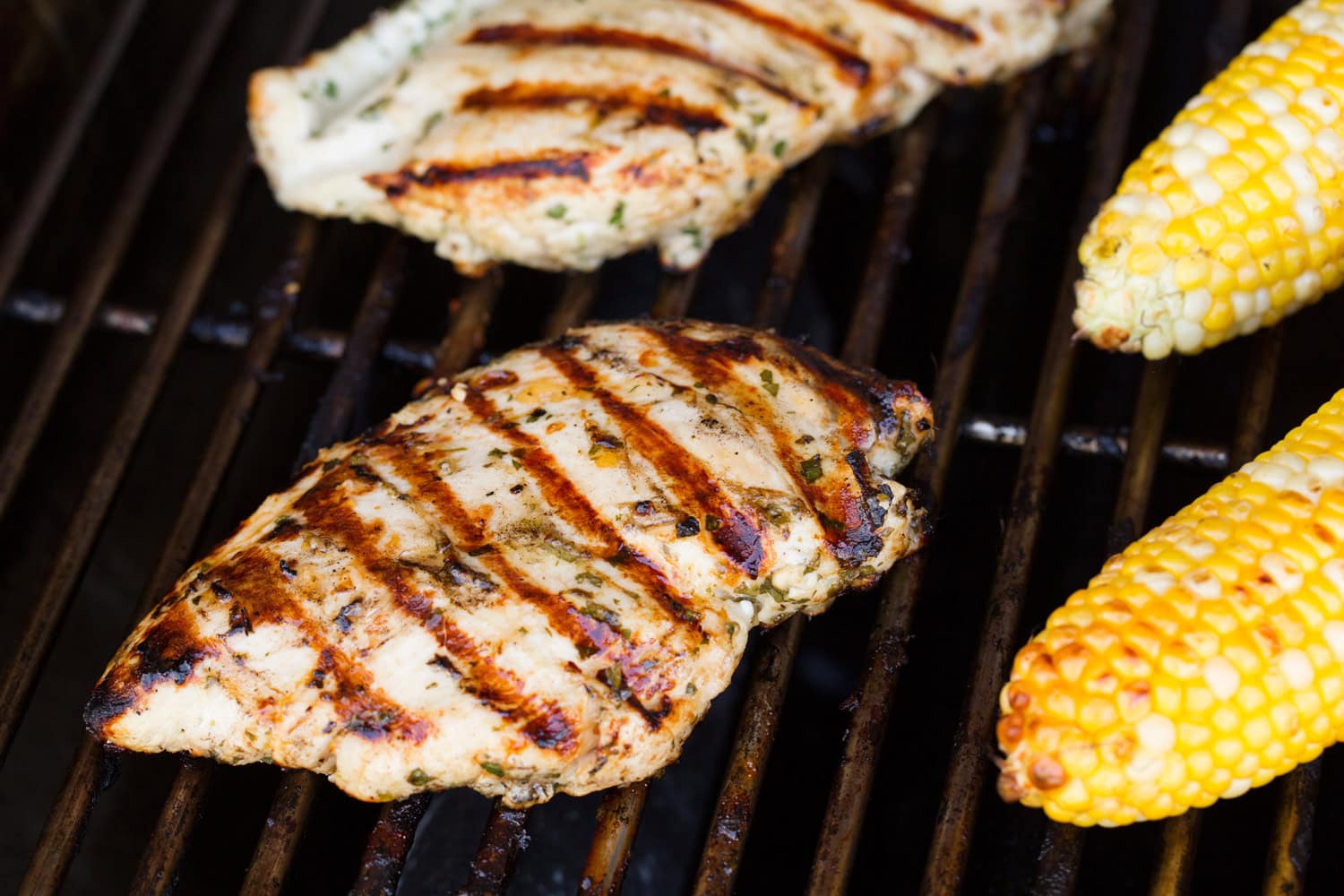 Grilled Chicken Salad Grilled chicken and grilled corn on the grill.