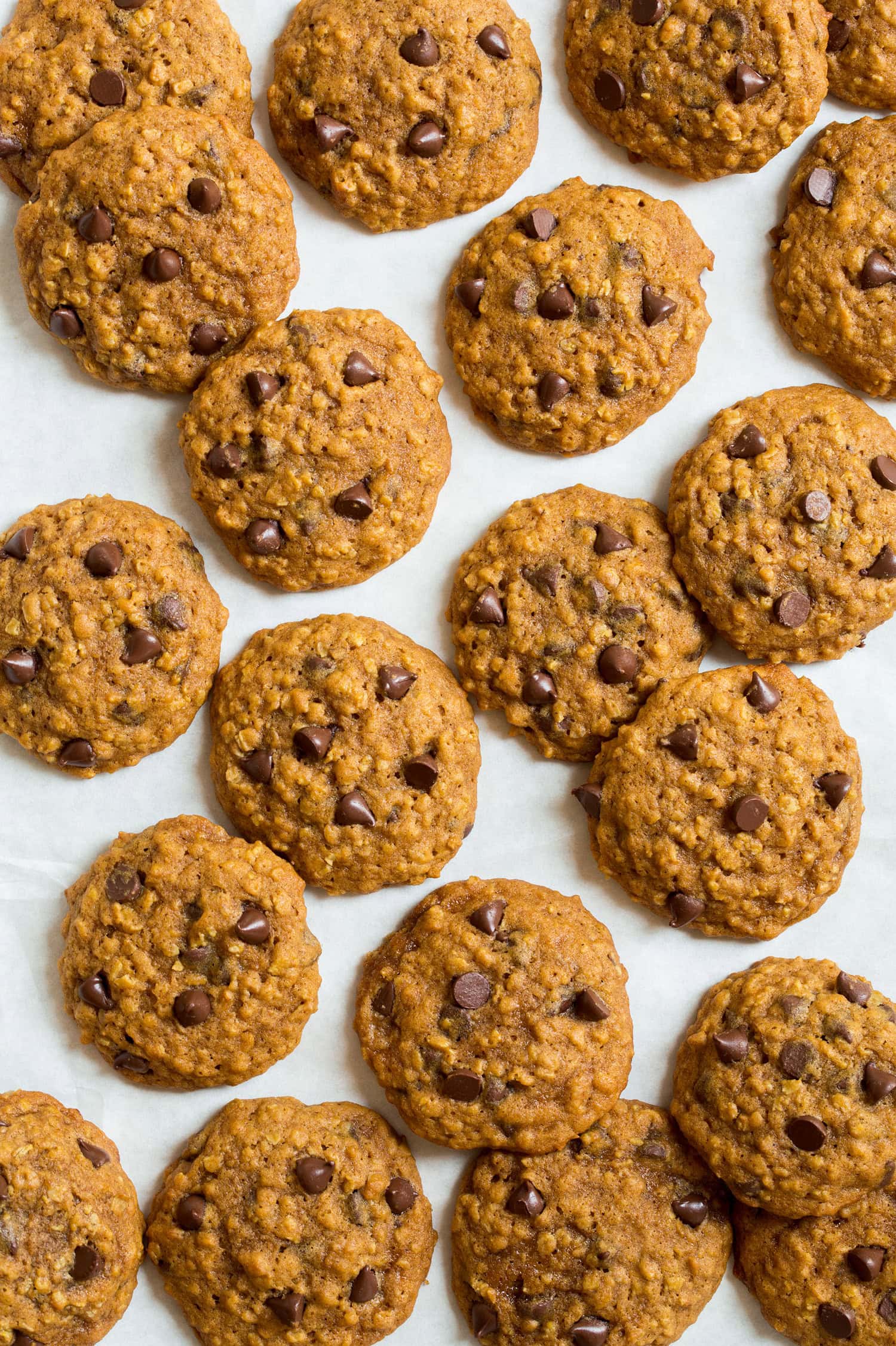 Pumpkin Oatmeal Cookies Pumpkin oatmeal cookies shown scattered from overhead.